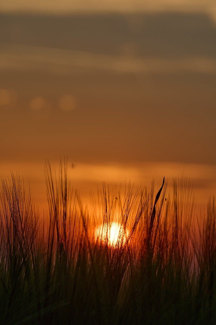 African landscape at sunset